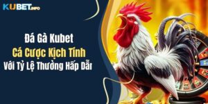 da ga kubet ca cuoc kich tinh voi ty le thuong hap dan