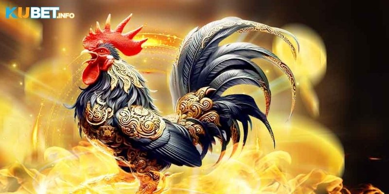 Đá Gà Kubet: Cá Cược Kịch Tính Với Tỷ Lệ Thưởng Hấp Dẫn 3 Ưu điểm khi chơi đá gà tại nhà cái Kubet