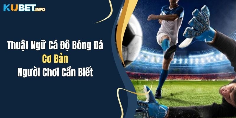 Thuật Ngữ Cá Độ Bóng Đá Cơ Bản Người Chơi Cần Biết 1 Thuật Ngữ Cá Độ Bóng Đá Cơ Bản Người Chơi Cần Biết